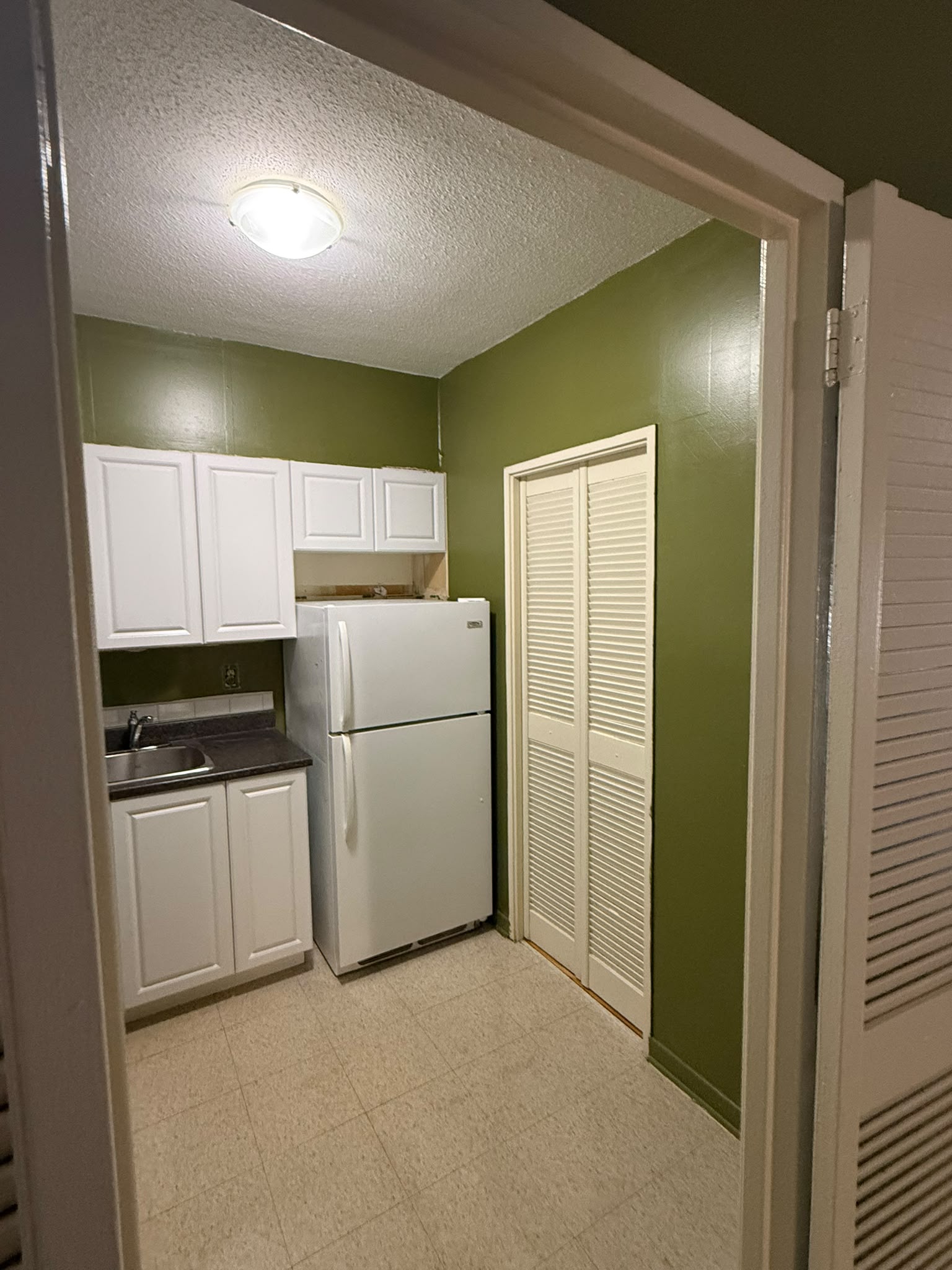 Apartment kitchen before painting — dark olive green walls